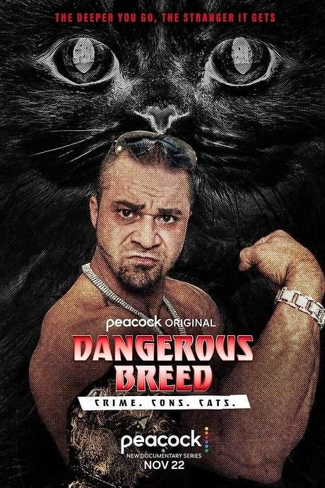 Dangerous Breed: Crime. Cons. Cats.